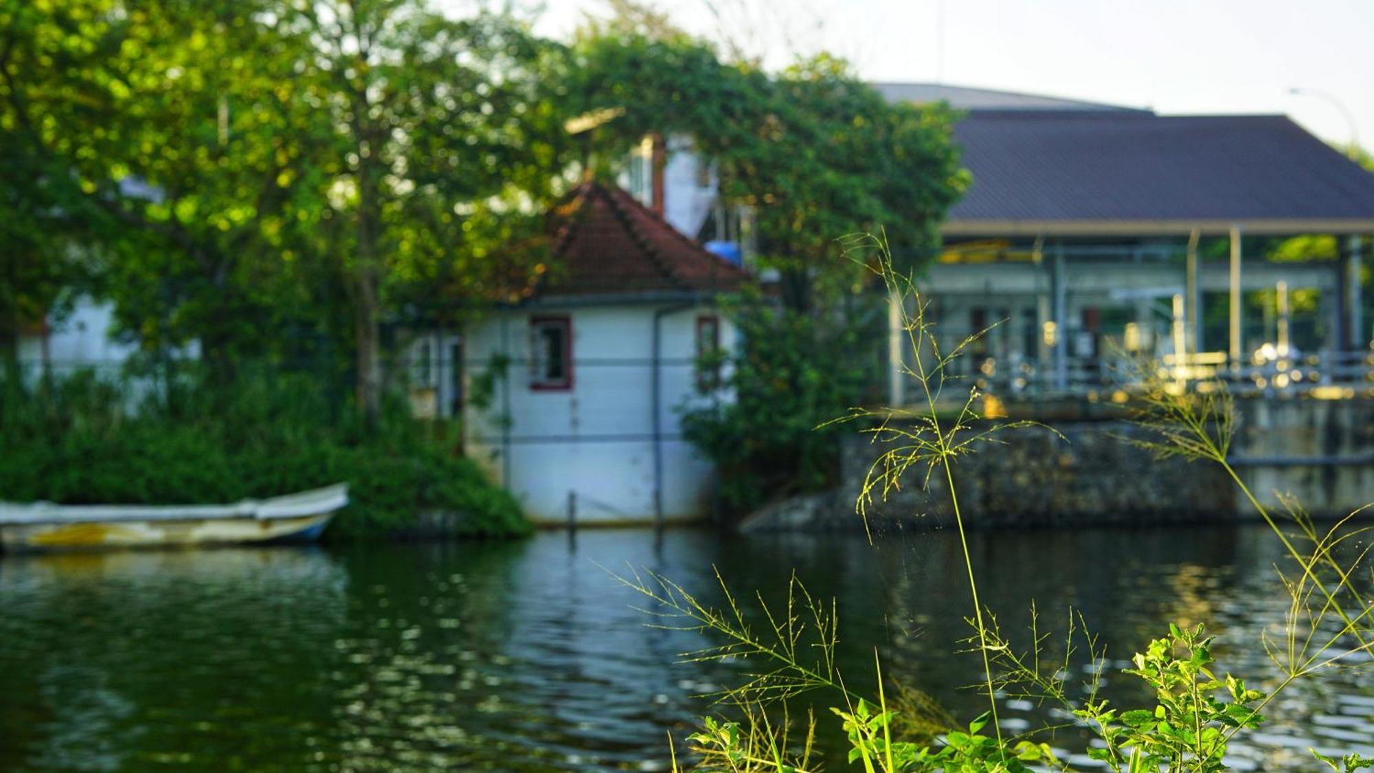 Lake Island Home Stay Dambulla Bagian luar foto